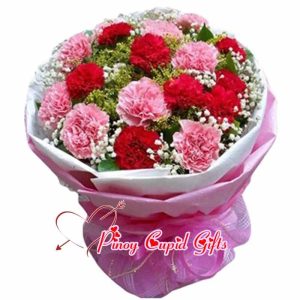 2 Bunches Mixed Pink/Red Carnations Bouquet
