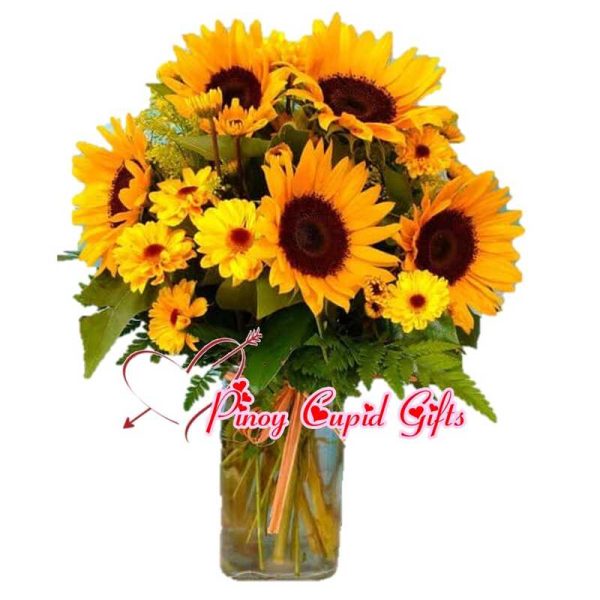 8 Sunflowers mixed with yellow Gerberas in a vase