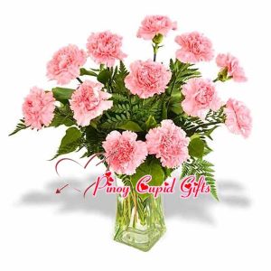 1 Dozen Carnations in a vase