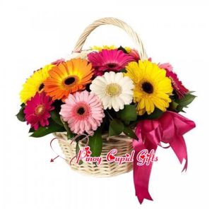 Basket of Mixed Gerbera Flowers