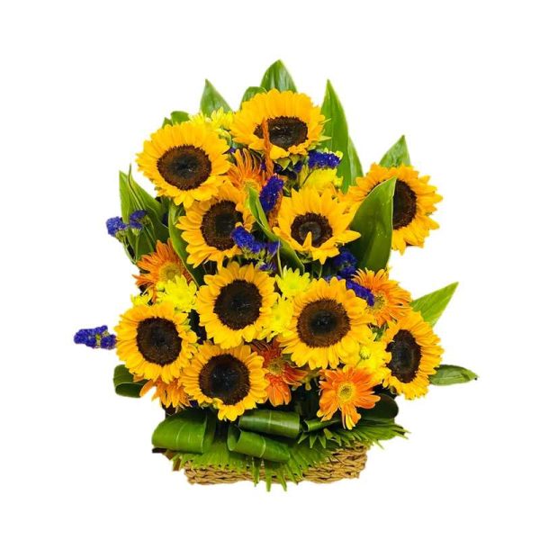 Sunflowers with gerberas in a basket