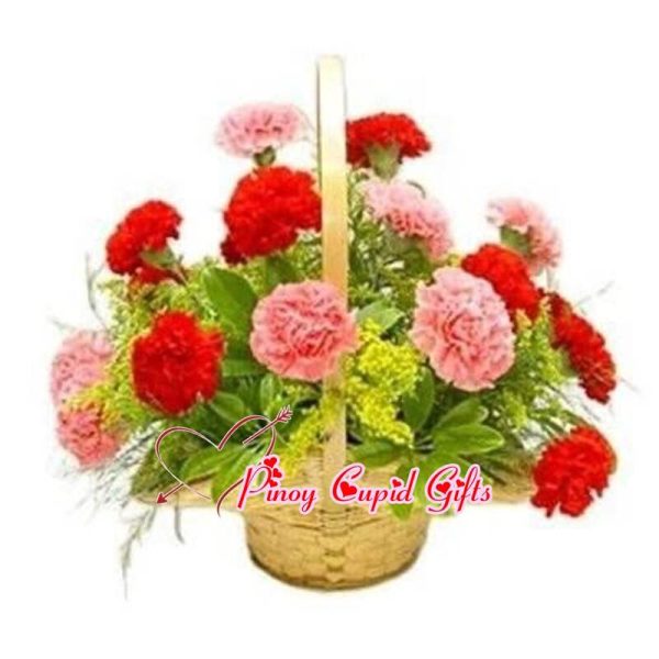 Mixed Red and Pink Carnations