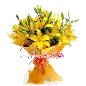 24 Yellow Holland Stargazer Lilies (6-8 stems)