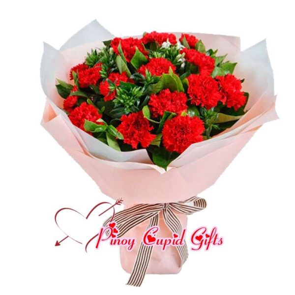2 Bunches Red Carnations Bouquet