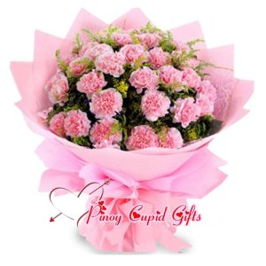 2 Bunches Pink Carnations Bouquet