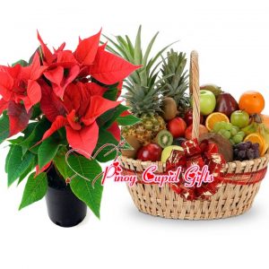 Poinsettia Christmas Flower and Fruit Basket