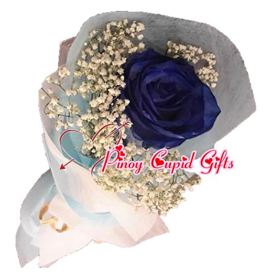 1 Imported Blue Holland Rose in a hand bouquet