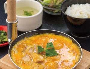 Exquisite chicken and egg in seasoned broth rice set.