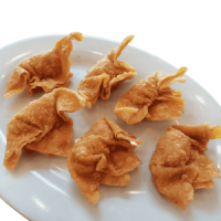6 Fried Crispy Dumplings by Lido