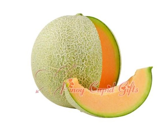 Melon Fruit (Canteloupe)