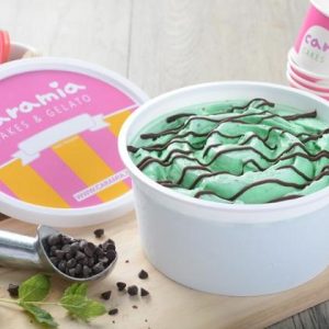 Mint-with-chocolate-gelato-tub