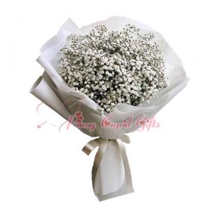 Preserved and dried white gypso flowers