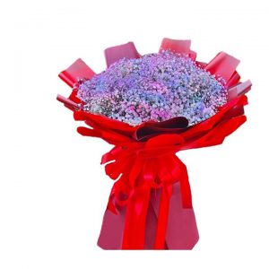 Dried Purple Gypso Bouquet