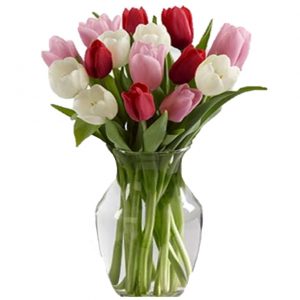 15 Tulips (5 white, 5 red, 5 pink) in a vase