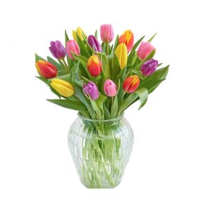 15 mixed tulips in a vase