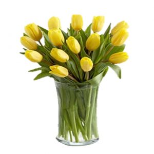 15 Yellow Tulips in a Vase