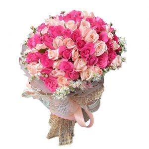 50 Mixed Pink Roses
