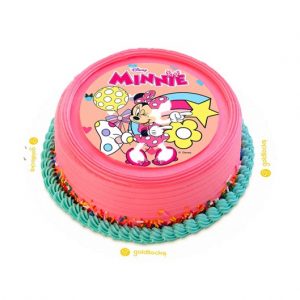 Goldilocks Minnie Mouse Party Choco Cake