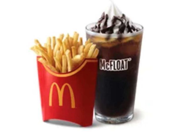 Large Fries N' McFloat Combo