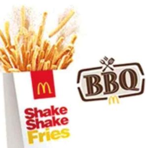 Medium Shake Shake Fries BBQ