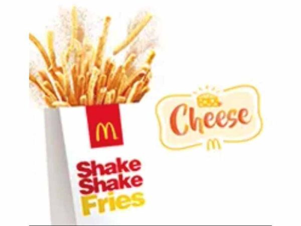 Medium Shake Shake Fries Cheese