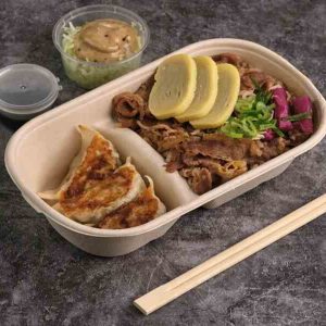 Gyudon Teishoku-Hanako