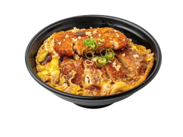 Pork Katsudon Ala Carte-Tokyo Tokyo